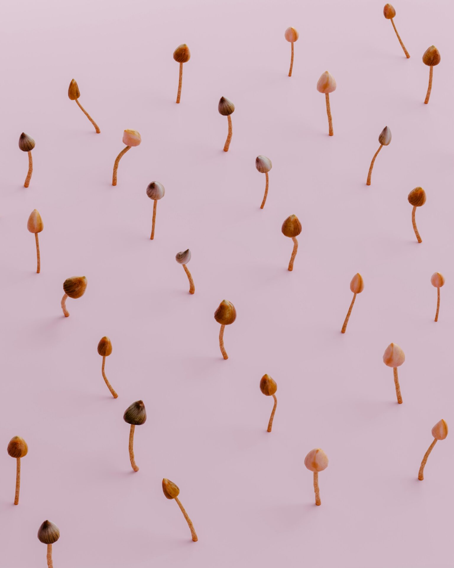 pramod tiwari 1q3CKyTv 4w unsplash