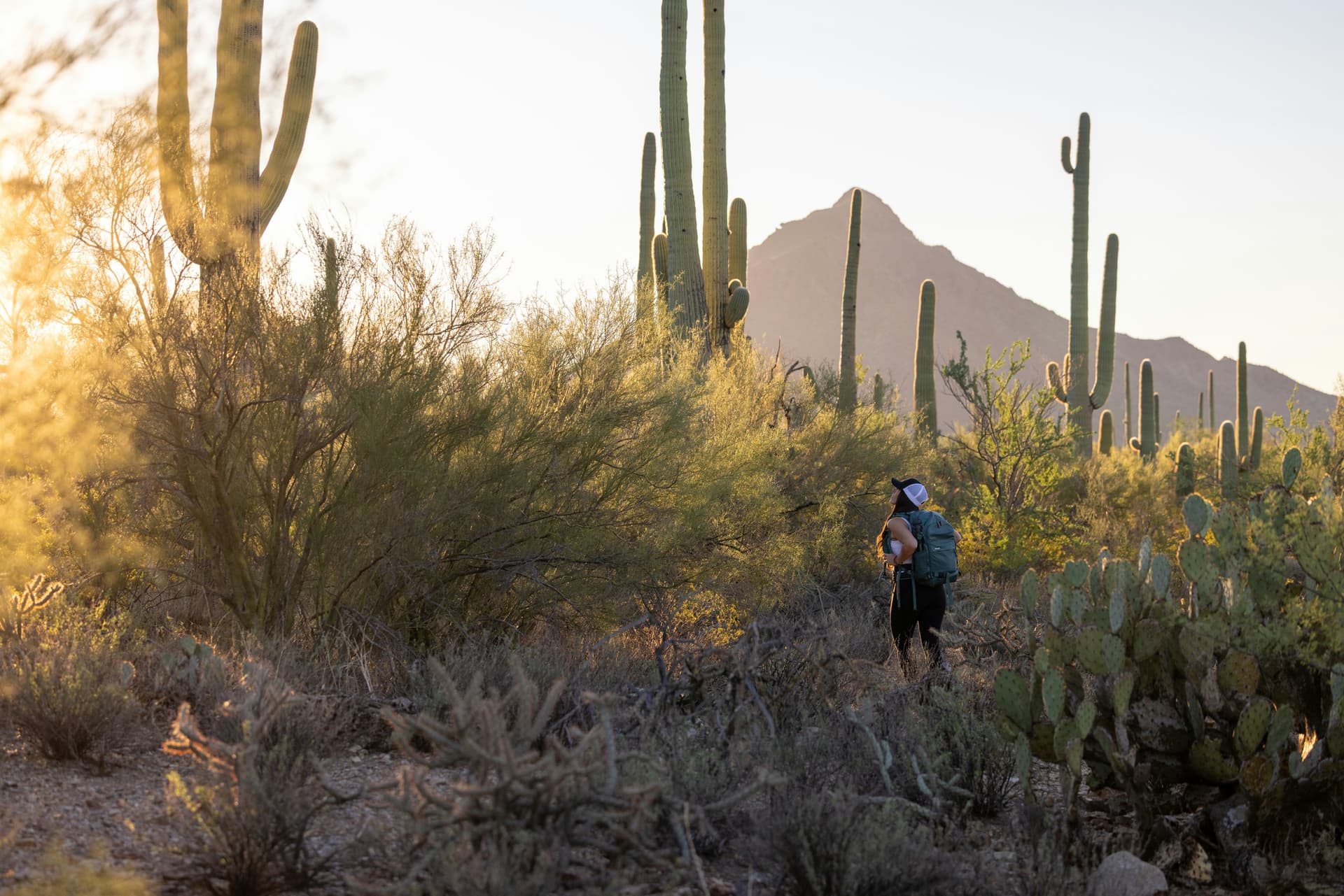 royce fonseca 8 NHE7wcTkY unsplash (1)